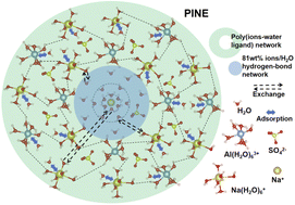 Graphical abstract: A ‘poly(ions–water ligand) network’ electrolyte enables high-voltage high-conductivity aqueous metal-ion chemistries