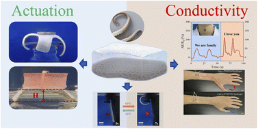 Graphical abstract: Multifunctional gradient hydrogel with ultrafast thermo-responsive actuation and ultrahigh conductivity