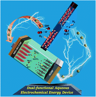 Graphical abstract: Advanced trifunctional electrodes for 1.5 V-based self-powered aqueous electrochemical energy devices