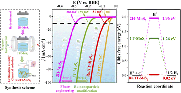 Graphical abstract: Highly stable 1T-MoS2 by magneto-hydrothermal synthesis with Ru modification for efficient hydrogen evolution reaction