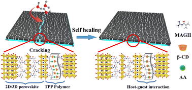 Graphical abstract: Self-healing and efficient flexible perovskite solar cells enabled by host–guest interaction and a 2D/3D heterostructure