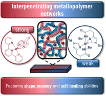 Graphical abstract: Application of orthogonal metal–ligand interactions for the synthesis of interpenetrating metallopolymer networks featuring shape-memory and self-healing abilities
