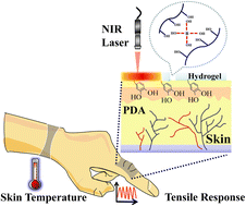 Graphical abstract: Wearable, fast-healing, and self-adhesive multifunctional photoactive hydrogel for strain and temperature sensing