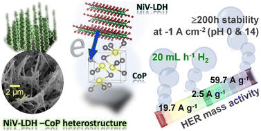 Graphical abstract: Charge transfer modulated heterointerfaces for hydrogen production at all pH values