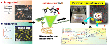 Graphical abstract: Precise and scalable fabrication of metal pair-site catalysts enabled by intramolecular integrated donor atoms