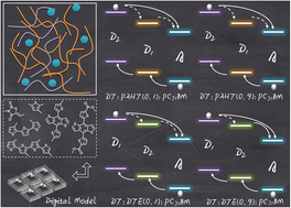 Graphical abstract: Charge transfer regulated by domain differences between host and guest donors in ternary organic solar cells