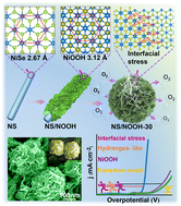 Graphical abstract: Interfacial stress induced by the adaptive construction of hydrangea-like heterojunctions based on in situ electrochemical phase reconfiguration for highly efficient oxygen evolution reaction at high current density