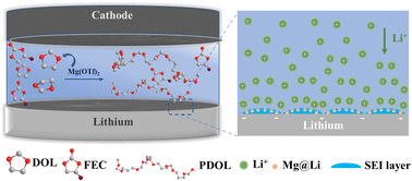 Graphical abstract: Enabling highly stable lithium metal batteries by using dual-function additive catalyzed in-built quasi-solid-state polymer electrolytes