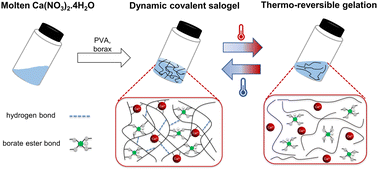 Graphical abstract: Strong, thermo-reversible salogels with boronate ester bonds as thermal energy storage materials