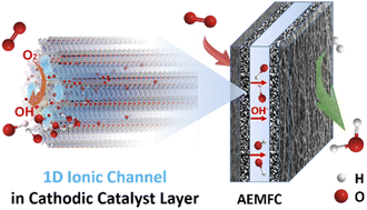 Graphical abstract: Construction of symbiotic one-dimensional ionic channels in a cobalt-based covalent organic framework for high-performance oxygen reduction electrocatalysis