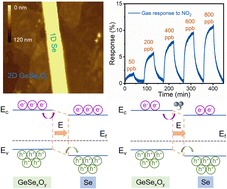 Graphical abstract: Single-step growth of p-type 1D Se/2D GeSexOy heterostructures for optoelectronic NO2 gas sensing at room temperature