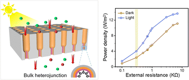 Graphical abstract: Bulk heterojunction-induced ion transport in nanochannel arrays for light-enhanced osmotic energy conversion