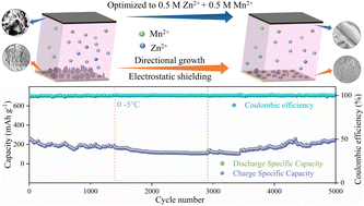 Graphical abstract: An appropriate Zn2+/Mn2+ concentration of the electrolyte enables superior performance of AZIBs