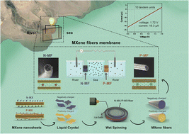 Graphical abstract: Oppositely charged MXene fibers as a highly efficient osmotic power generator from sea and river water