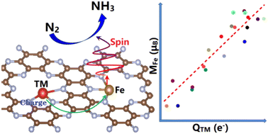 Graphical abstract: Charge and spin communication between dual metal single-atom sites on C2N sheets: regulating electronic spin moments of Fe atoms for N2 activation and reduction