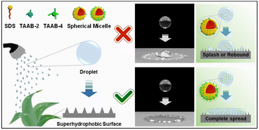 Graphical abstract: Spherical-micelle-driven deposition of high-speed impacting water droplets on superhydrophobic surfaces