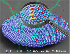 Graphical abstract: Hydrogen bonding mediated spillover enabling superior alkaline industrial-level current density hydrogen evolution