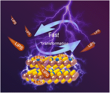 Graphical abstract: Bidirectional catalyst design for lithium–sulfur batteries: phase regulation cooperates with N-doping