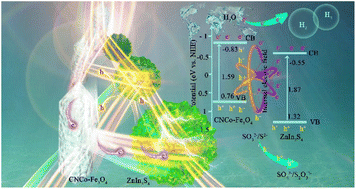 Graphical abstract: Ultrathin ZIS nanosheets encapsulated in metal–organic-framework-derived CNCo-Fe3O4 as an efficient functional photocatalyst for hydrogen evolution