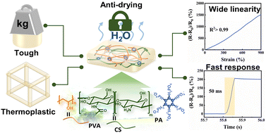 Graphical abstract: Tough, anti-drying and thermoplastic hydrogels consisting of biofriendly resources for a wide linear range and fast response strain sensor