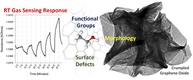 Graphical abstract: Crumpled graphene oxide for enhanced room temperature gas sensing: understanding the critical roles of surface morphology and functionalization