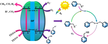 Graphical abstract: Polarization engineering of porous organic polymers for superior photocatalytic synthesis of disulfides and CO2 reduction