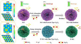 Graphical abstract: Bucket effect on high-performance Li–O2 batteries based on P-doped 3D NiO microspheres with conformal growth of discharge products