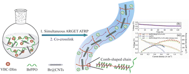 Graphical abstract: One-pot simultaneous ARGET ATRP strategy on widening long-range ion channels to facilitate ion conductivity for alkaline anion exchange membrane fuel cells