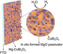 Graphical abstract: In situ surface-trap passivation of CuBi2O4 photocathodes for unbiased solar water splitting