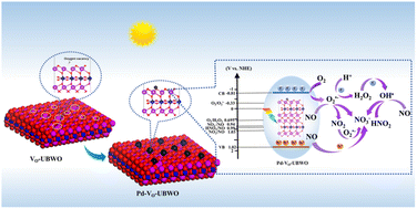 Graphical abstract: Single Pd atoms supported on ultra-thin bismuth tungstate nanosheets with oxygen vacancies as an efficient photocatalyst