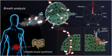 Graphical abstract: Hierarchically porous PdO-functionalized SnO2 nano-architectures for exclusively selective, sensitive, and fast detection of exhaled hydrogen