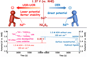 Graphical abstract: Energy-saving hydrogen production by water splitting coupling urea decomposition and oxidation reactions