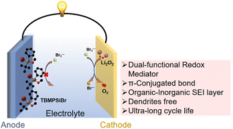 Graphical abstract: A π-conjugated dual-functional redox mediator facilitates the construction of dendrite-free lithium–oxygen batteries