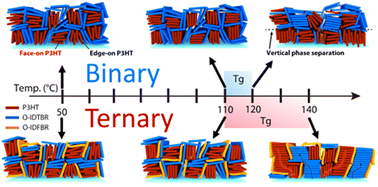 Graphical abstract: The molecular origin of high performance in ternary organic photovoltaics identified using a combination of in situ structural probes