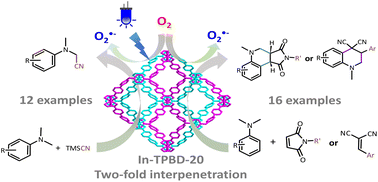 Graphical abstract: Interpenetrating dye-functionalized indium–organic frameworks for photooxidative cyanation and oxidative cyclization