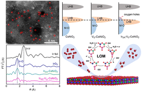 Graphical abstract: Iridium single-atom catalyst coupled with lattice oxygen activated CoNiO2 for accelerating the oxygen evolution reaction