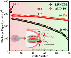 Graphical abstract: An artificially tailored functional layer on Li-rich layer cathodes enables a stable high-temperature interphase for Li-ion batteries