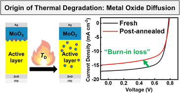 Graphical abstract: Impact of metal oxide diffusion and materials design on thermal stabilities of non-fullerene polymer solar cells