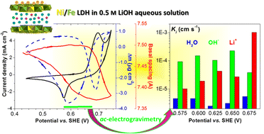 Graphical abstract: Operando XRD and electrogravimetry coupling to analyze species transfers during redox processes in Ni/Fe-layered double hydroxide