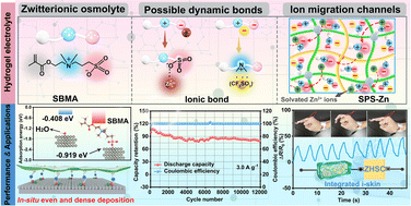 Graphical abstract: Construction of zwitterionic osmolyte-based hydrogel electrolytes towards stable zinc anode for durable aqueous zinc ion storage and integrated electronics