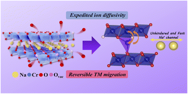 Graphical abstract: Facilitating reversible transition metal migration and expediting ion diffusivity via oxygen vacancies for high performance O3-type sodium layered oxide cathodes