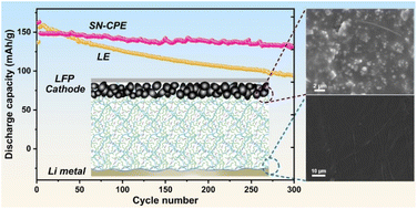 Graphical abstract: An in situ formed copolymer electrolyte with high ionic conductivity and high lithium-ion transference number for dendrite-free solid-state lithium metal batteries