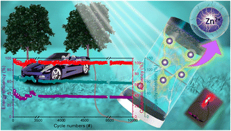 Graphical abstract: Two-dimensional nanosheets of bimetallic chalcogenide-tagged nitrogen-doped carbon as a cathode for high-performance and durable zinc-ion capacitors