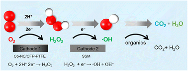 Graphical abstract: Constructing a superhydrophobic free-standing cathode for highly efficient H2O2 production over a wide pH range