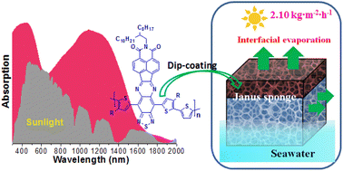 Graphical abstract: Vertically π-extended strong acceptor unit boosting near-infrared photothermal conversion of conjugated polymers toward highly efficient solar-driven water evaporation