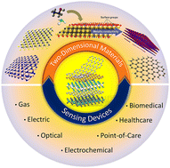 Graphical abstract: 2D material-based sensing devices: an update