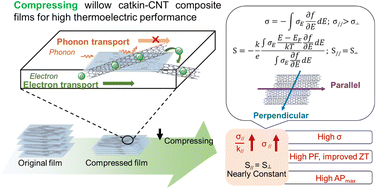 Graphical abstract: Green biopolymer-CNT films exhibit high thermoelectric power factor and electrical conductivity for low temperature heat energy harvesting