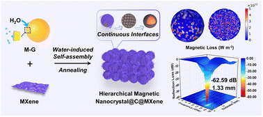 Graphical abstract: A water-induced self-assembly approach to 3D hierarchical magnetic MXene networks for enhanced microwave absorption