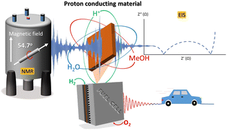 Graphical abstract: Advances in nuclear magnetic resonance spectroscopy: case of proton conductive materials