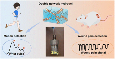 Graphical abstract: Modulation of double-network hydrogels via seeding calcium carbonate microparticles for the engineering of ultrasensitive wearable sensors
